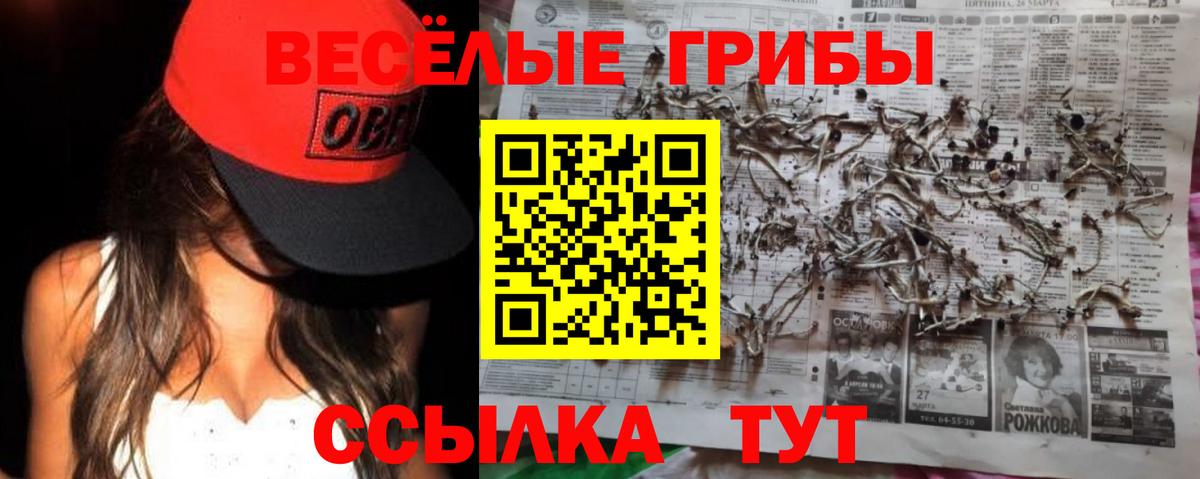 Галлюциногенные грибы мухоморы  Вход с VPN  Тула 